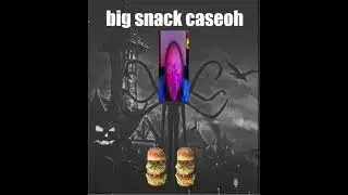 BIG SNACK CASEOH