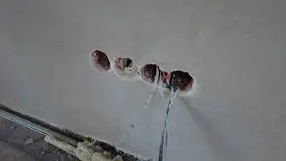 JAK POPRAWNIE OKABLOWAĆ PROJEKTOR / RZUTNIK  PRZYGOTOWANIE OKABLOWANIA / HDMI / INTERNET - BUDUJ SAM