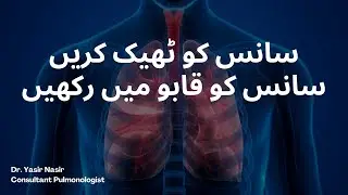 Reliever + Preventive Inhaler Therapy | Complete Guide for Better Disease Control