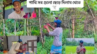 পাখি সব গুলো ছেড়ে দিলাম খেতে 🕊️💞