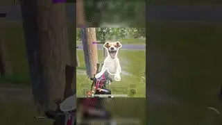 Camping OP 🗿😂