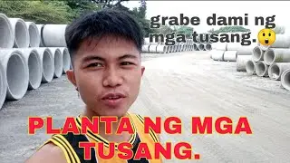 PLANTA NG MGA TUSANG || GRABE DAMI NG MGA TUSANG DITO.