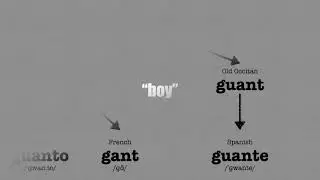 Non Latin Originated Words