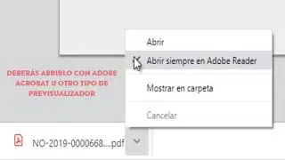 Cómo previsualizar un Archivo Embebido en un GEDO, utilizando Acrobat Reader