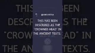 Name Number 46 Features. #numerology #namenumerology #ankvartaa #dobanalysis