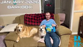 Barkbox, январь 2026 года!