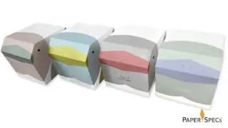 PaperSpecs.com | Paper Inspiration #238: Tiny Feather