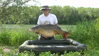 carpe commune de saone 21.2kg atome x.mpg