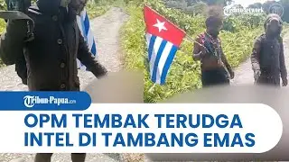 Beredar Video OPM Tembak Terduga Intelejen di Wilayah Tambang Emas Yahukimo