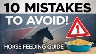 10 Horse Feeding MISTAKES You Must AVOID! 🐴
