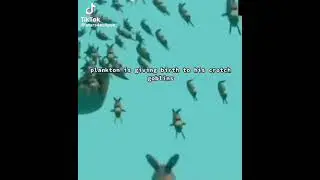 plankton is giving birth to his crotch goblins