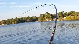 Copper Nose Catch, Clean, Cook, Over The Fire