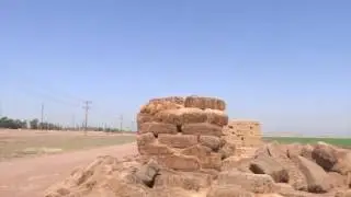 CLUB RAMIDOGG DOVE HUNTING IN CALEXICO, CA 07/06/17