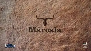 Daniel Villalobos y Su Grupo - M&aacute;rcala (Video Lyric)