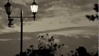 permanent daylight / little moa