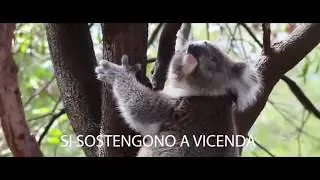 Giornata mondiale dell'Ambiente 2020