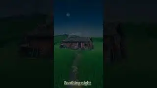 Relaxing night sounds,#relaxing #nightsound #shortvideo