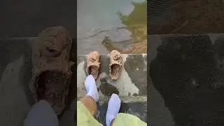 You Won&rsquo;t Believe What Cleaned My Muddy Shoes in Seconds! 😱💦 #Shorts