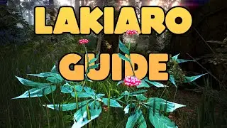 Путеводитель по Лакиаро: Что? Где? Почему? Сколько? | Black Desert онлайн