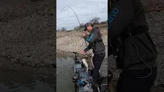 Где рыба, там ещё больше зацепов #bassfishing #fishusa #plinefishing #bassmafia #swimbait