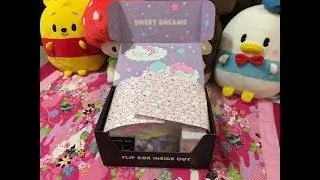 Sanrio Loot Crate Winter 2017 ~Sweet Dreams~ Unboxing