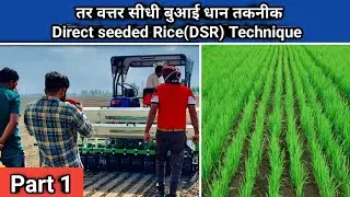 तर-वत्तर सीधी बुआई धान तकनीक | Direct seeded Rice(DSR) Technique (tar vattar) | ਝੋਨੇ ਦੀ ਸਿੱਧੀ ਬਿਜਾਈ