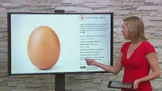 Have You Heard: Picture of egg breaks record for most Instagram likes
