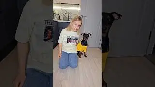 Who's faster?