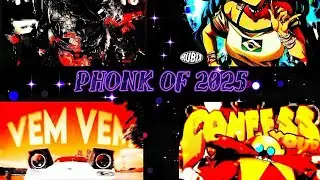 Phonk of 2025 - Based on your Birthmonth #Brazilianphonk #phonk #viral 