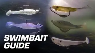 Big Bite Baits Swimbait Guide