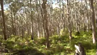 Augusta - caves road - Cosy Corner