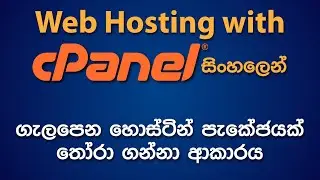 How to Choose a Suitable Web Hosting Package | තමාට ගැලපෙන වෙබ් හොස්ටින් පැකේජයක් තෝරාගැනීම