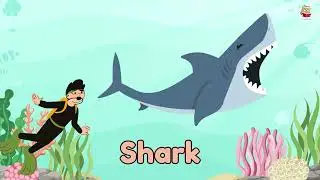 Water Animals | Learn water animals name | English Educational video| Kids vocabulary