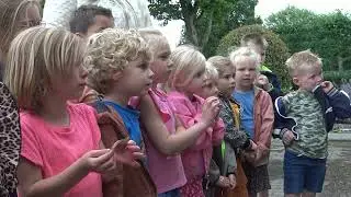Kerkuilen geringd in Geesteren