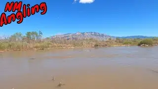 CATFISHING in the RIO GRANDE RIVER in ALBUQUERQUE