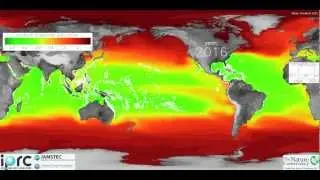 Ocean Acidification