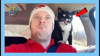 Cats are the Queens of All Drama!&rdquo; 👑🐱🎬