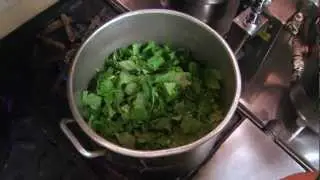 How to Make Loveless Cafe's Turnip Greens