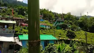 Mim Tea Garden (School Goan ) view