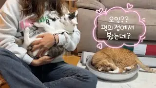 편의점 손님이 집에 놀러 왔어요