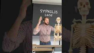 Where did we get syphilis?