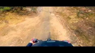 Swinley Forest Jump Gulley - Cycle Active - Jumps and Drops Course