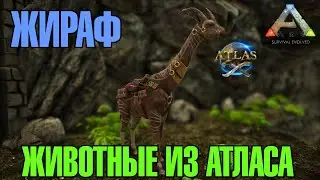 ЖИРАФ! ЖИВОТНЫЕ ИЗ АТЛАСА! МОД! MOD! ANIMALS FROM ATLAS! SIVATHERIUM! ARK  Survival Evolved