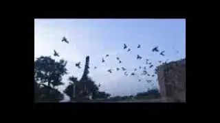 #bhangarhfort #bhangarh