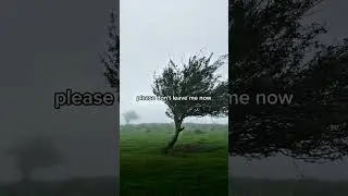 Please Don&rsquo;t Leave Me Now, check my channel for full version #newmusic #originalsong #healing