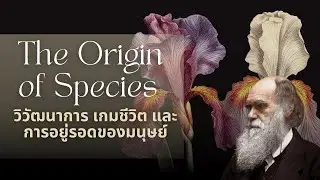 Charles Darwin&rsquo;s The Origin of Species | วิวัฒนาการ ตลาดหุ้น และเกมการลงทุนระยะยาว