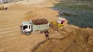 Big dozer Big Pland Spreading Land and Dump Truck Work.