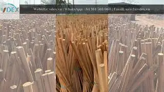 Eucalyptus stick dried in the fields to lower the humidity