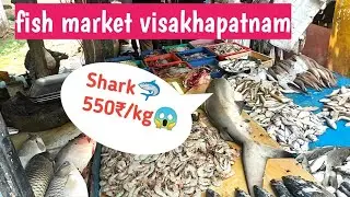🐟fish meat market visakhapatnam/vizag 😱 🦈 shark fish price in Visakhapatnam 🔥 meat market vizag