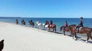 VID 20240503 140209